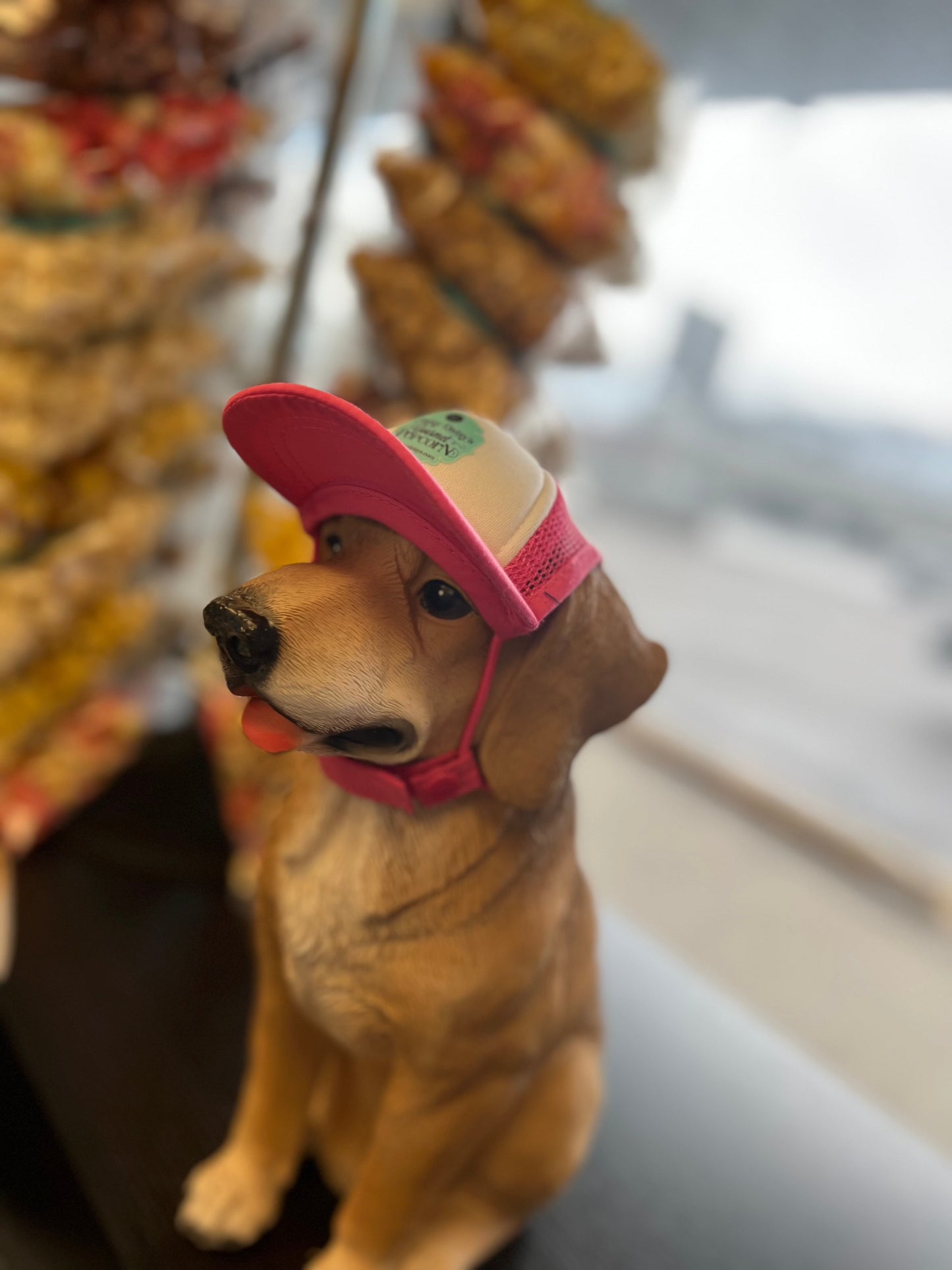 Cute dog wearing a pink Pup Cap indoors.